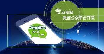 仓库管理软件开发报价与软件定制开发厂家选择指南